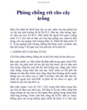 Phòng chống rét cho cây trồng