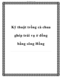 Các kỹ thuật trồng cà chua ghép trái vụ ở đồng bằng sông Hồng