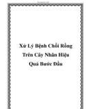 Xử Lý Bệnh Chổi Rồng Trên Cây Nhãn Hiệu Quả Bước Đầu