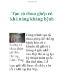 Tạo cà chua ghép có khả năng kháng bệnh