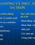 Dinh dưỡng và thức ăn cá da trơn