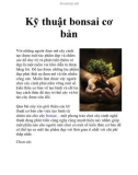 Kỹ thuật bonsai cơ bản