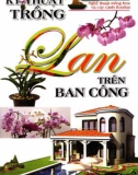 Hoa lan - Kỹ thuật trồng trên ban công: Phần 1