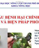 Bài thuyết trình Một số sâu bệnh hại chính trên cây cà phê và biện pháp phòng trừ