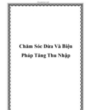 Chăm Sóc Dừa Và Biện Pháp Tăng Thu Nhập