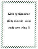 Kinh nghiệm nhân giống dừa sáp và kỹ thuật ươm trồng ổi