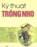 Kỹ thuật trồng nho