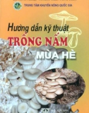 Phương pháp trồng nấm mùa hè