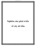 Nghiên cứu phát triển về cây dó bầu