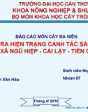 Đề tài: ĐIỀU TRA HIỆN TRẠNG CANH TÁC SẦU RIÊNG Ở XÃ NGŨ HIỆP - CAI LẬY - TIỀN GIANG