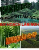 Bài giảng: Quy hoạch lâm nghiệp - Chương 1. Nhận thức tổng quát về quy hoạch lâm nghiệp