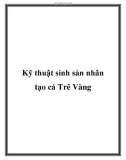 Kỹ thuật sinh sản nhân tạo cá Trê Vàng