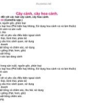 Cây cảnh, cây hoa cảnh part 1