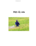 Diệt rầy nâu