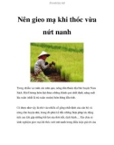 Nên gieo mạ khi thóc vừa nứt nanh