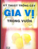 kỹ thuật trồng cây gia vị trong vườn: phần 1