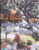 kỹ thuật trồng cây ăn quả hiệu quả kinh tế cao (tập 1): phần 1