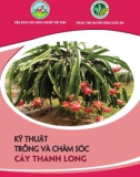 kỹ thuật trồng và chăm sóc cây thanh long