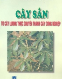 Cây sắn từ cây lương thực chuyển thành cây công nghiệp part 1