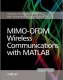 Ebook MIMO-OFDM wireless communications with Matlab R: Part 1