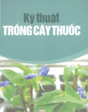 Kinh nghiệm trồng cây thuốc: Phần 1