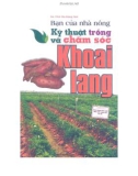 Kỹ thuật trồng và chăm sóc khoai lang - Bạn của nhà nông: Phần 1