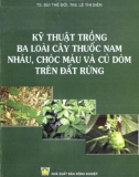 kỹ thuật trồng 3 loài cây thuốc nam nhàu, chóc máu và củ dòm trên đất rừng: phần 1