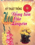 Mô hình trồng đồng tiền, cúc, lay ơn