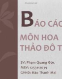 Báo cáo môn Hoa thảo đô thị: Kỹ thuật trồng cây Hoa Thảo