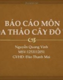 Báo cáo môn Hoa thảo đô thị: Kỹ thuật trồng cây Hoa Thảo 2