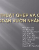 Bài thuyết trình đề tài: Kỹ thuật ghép và giai đoạn vườn nhân