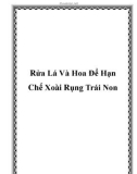 Rửa Lá Và Hoa Để Hạn Chế Xoài Rụng Trái Non