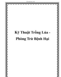 Kỹ Thuật Trồng Lúa Phòng Trừ Bệnh Hại