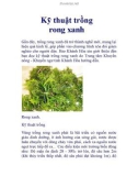 Kỹ thuật trồng rong xanh