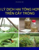 Bài giảng Quản lý dịch hại tổng hợp (IPM) trên cây trồng