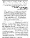 Ảnh hưởng của vi khuẩn vùng rễ và nội sinh cố định đạm đến sinh trưởng và năng suất cây vừng (mè) (Sesamum indicum L.) trồng trên đất phù sa trong đê thu tại huyện Châu Phú, tỉnh An Giang