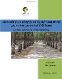 Báo cáo Liên kết giữa công ty và hộ để phát triển các vườn cao su tại Việt Nam – Cơ hội và rủi ro về thị trường