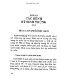 Cách phòng trị bệnh nội khoa và ký sinh trùng thường gặp ở bò và bò sữa: Phần 2