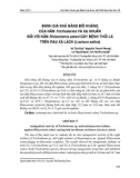 Đánh giá khả năng đối kháng của nấm trichoderma và xạ khuẩn đối với nấm Rhizoctonia solani gây bệnh thối lá trên rau xà lách (Lactuca sativa)