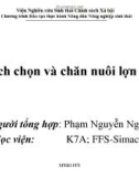 Bài giảng Cách chọn và chăn nuôi lợn nái