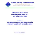 Giáo trình Các bệnh gây ra do thực phẩm súc sản - Mối nguy hại đến sức khỏe cộng đồng - PGS.TS. Bá Lộc (chủ biên)