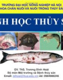 Bài giảng Bệnh học thủy sản: Chương 0 - Ths. Trương Đình Hoài