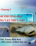 Bài giảng Bệnh học thủy sản: Chương 5 - Ths. Trương Đình Hoài