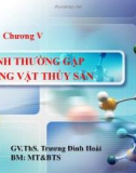 Bài giảng Bệnh học thủy sản: Chương 5.2 - Ths. Trương Đình Hoài