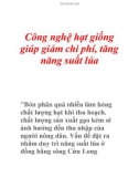 Công nghệ hạt giống giúp giảm chi phí, tăng năng suất lúa