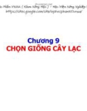 Bài giảng Chọn giống cây trồng ngắn ngày - Chương 9: Chọn giống cây lạc