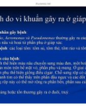 Bệnh học thủy sản : Bệnh do vi khuẩn part 8