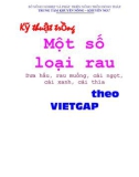 Kỹ thuật trồng một số loại rau dưa hấu, rau muống, cải ngọt, cải xanh, cải thìa theo VIETGAP