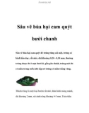 Sâu vẽ bùa hại cam quýt bưởi chanh