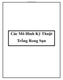 Các Mô Hình Kỹ Thuật Trồng Rong Sụn